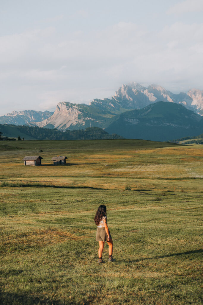 Alpe di Siusi dolomiti