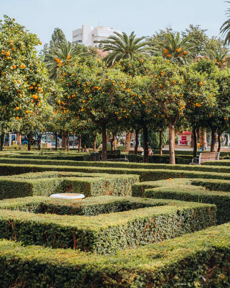 Malaga